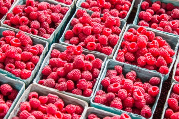 Serbia is 3rd largest raspberry producer in the world
